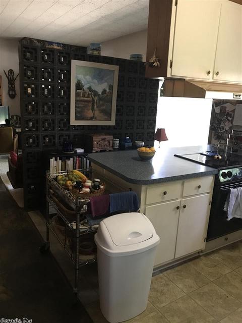 3900 S Fir, Pine Bluff, AR 71603 photo 6