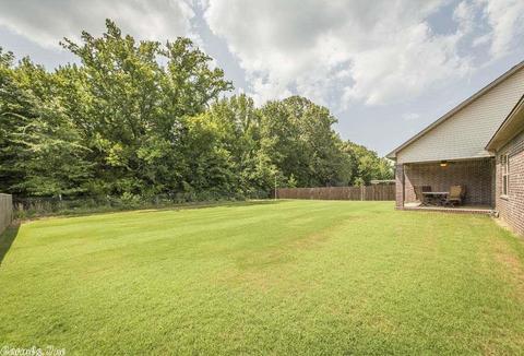 162 Creekside Dr, Austin, AR 72007 photo 36