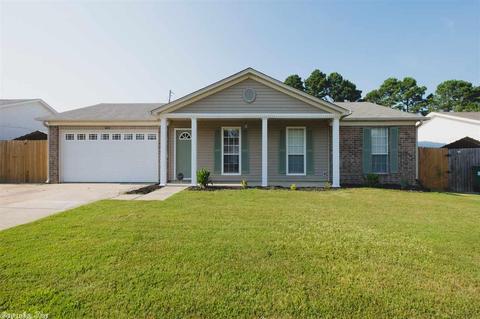 13000 Carousel Ct, Alexander, AR 72002 photo 2