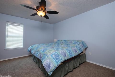 13000 Carousel Ct, Alexander, AR 72002 photo 15