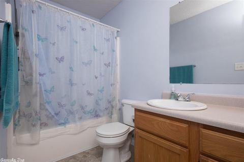 13000 Carousel Ct, Alexander, AR 72002 photo 21