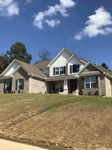 11087 Stonehill Dr, Alexander, AR 72002 photo 4