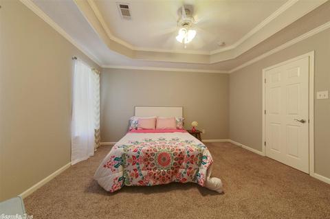59 Willow Lk, Ward, AR 72176 photo 20
