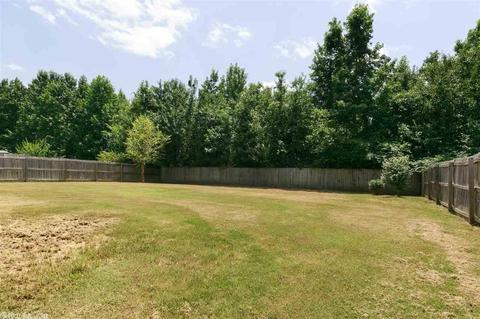 59 Willow Lk, Ward, AR 72176 photo 39