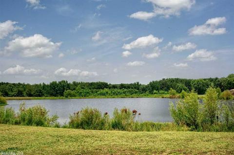 59 Willow Lk, Ward, AR 72176 photo 40