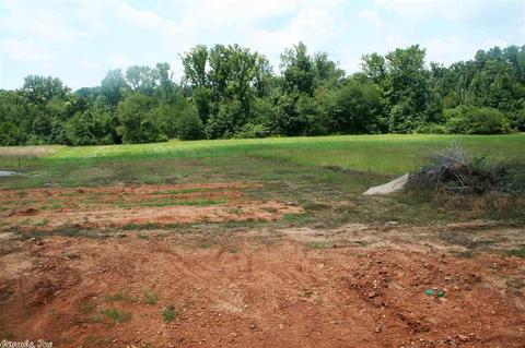 209 Covey Cv, Beebe, AR 72012 photo 4