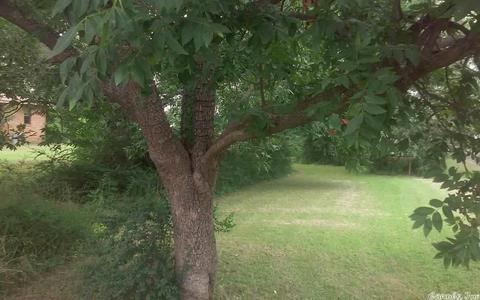 1208 N Main St, Beebe, AR 72012 photo 6