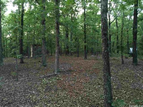 450 Needmore Rd, Sidney, AR 72577 photo 1