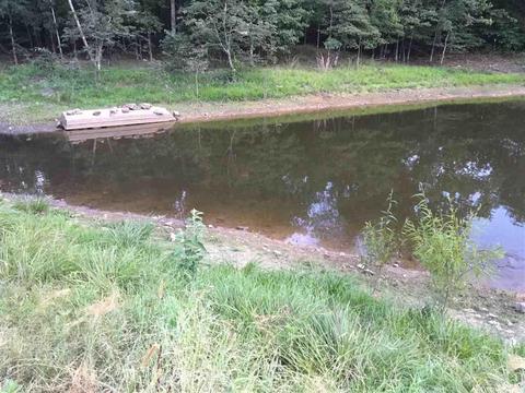 450 Needmore Rd, Sidney, AR 72577 photo 4