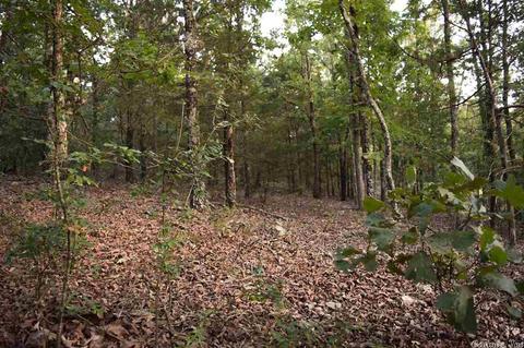 450 Needmore Rd, Sidney, AR 72577 photo 12