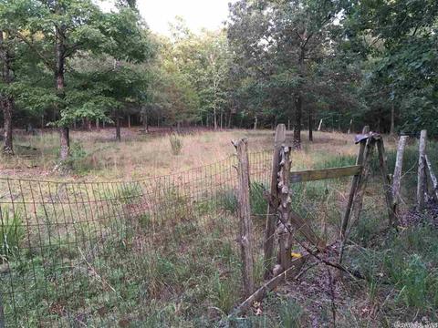 450 Needmore Rd, Sidney, AR 72577 photo 21