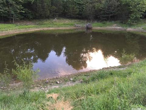 450 Needmore Rd, Sidney, AR 72577 photo 3