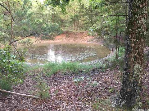 450 Needmore Rd, Sidney, AR 72577 photo 2