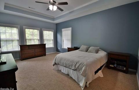 1075 Mountainside Cv, Alexander, AR 72002 photo 23