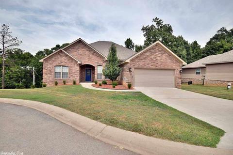 1075 Mountainside Cv, Alexander, AR 72002 photo 2