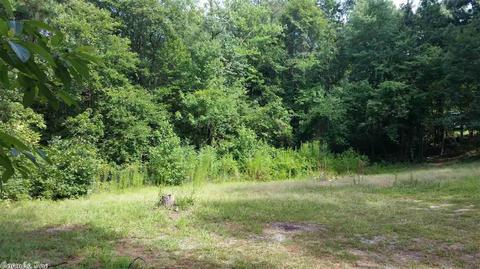 20007 N Sardis, Mabelvale, AR 72103 photo 3