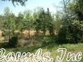 3745 Hwy 367 S, Cabot, AR 72023 photo 1