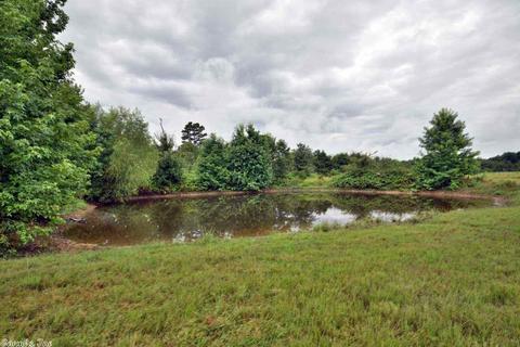 22 Overland Dr, Damascus, AR 72039 photo 36