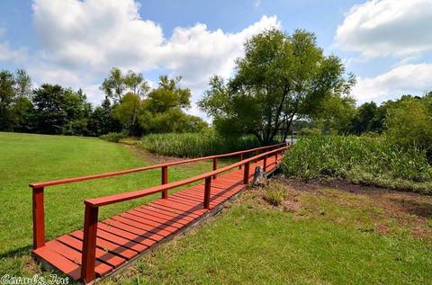 161 Pinecrest Ln, Mena, AR 71953 photo 35