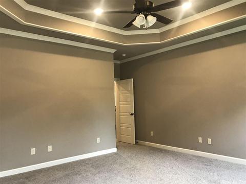 100 Cedar Brook Cv, Austin, AR 72007 photo 20