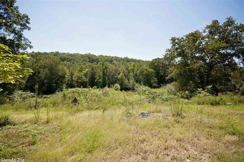 150 Hwy 285 E, Greenbrier, AR 72058 photo 24