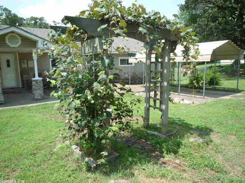 117 Laurel St, Mount Ida, AR 71957 photo 14