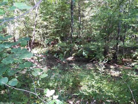 5930 Hwy 16 E, Clinton, AR 72031 photo 14