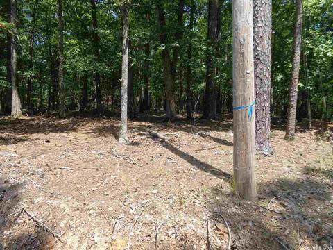 85 Circle T, Mount Ida, AR 71957 photo 2