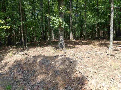 85 Circle T, Mount Ida, AR 71957 photo 5