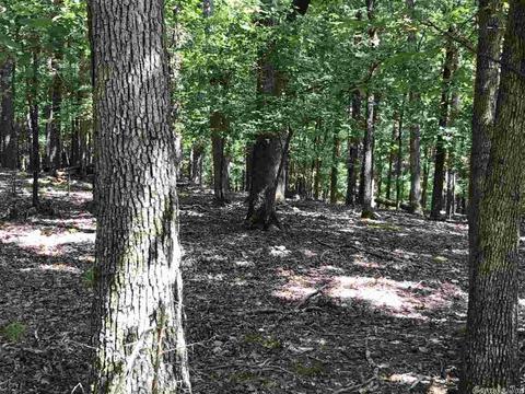 85 Circle T, Mount Ida, AR 71957 photo 12