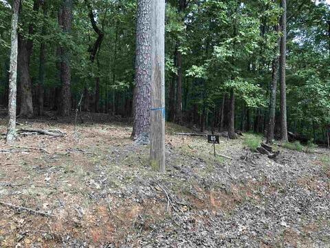 85 Circle T, Mount Ida, AR 71957 photo 19