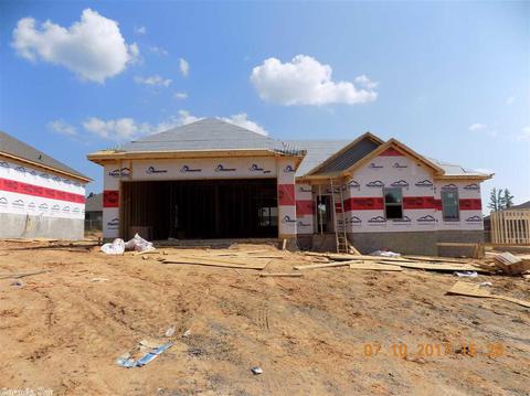 778 Mango Loop, Austin, AR 72007 photo 27
