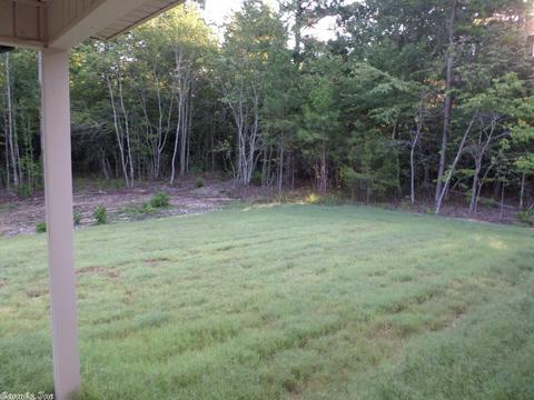314 Reuben Dr, Alexander, AR 72002 photo 26