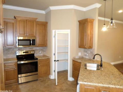 314 Reuben Dr, Alexander, AR 72002 photo 11
