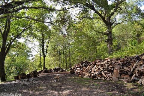 320 Old Hwy 27, Marshall, AR 72650 photo 6