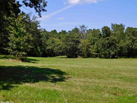 30022 Black Fork Trl, Mena, AR 71953 photo 28