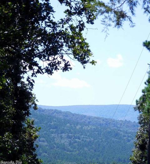 30022 Black Fork Trl, Mena, AR 71953 photo 35