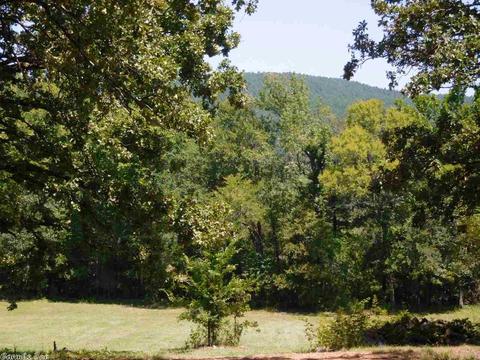 30022 Black Fork Trl, Mena, AR 71953 photo 25
