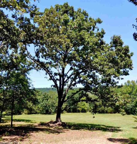 30022 Black Fork Trl, Mena, AR 71953 photo 32