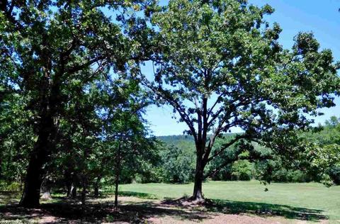 30022 Black Fork Trl, Mena, AR 71953 photo 30