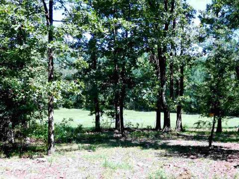 30022 Black Fork Trl, Mena, AR 71953 photo 29