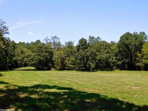30022 Black Fork Trl, Mena, AR 71953 photo 26