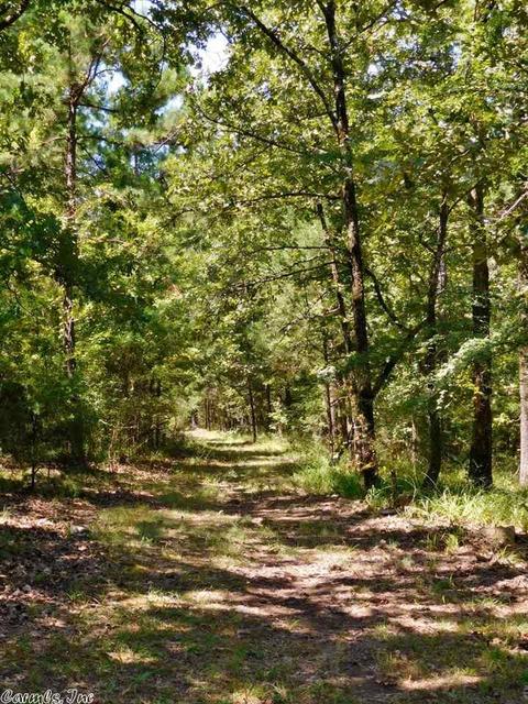 30022 Black Fork Trl, Mena, AR 71953 photo 24