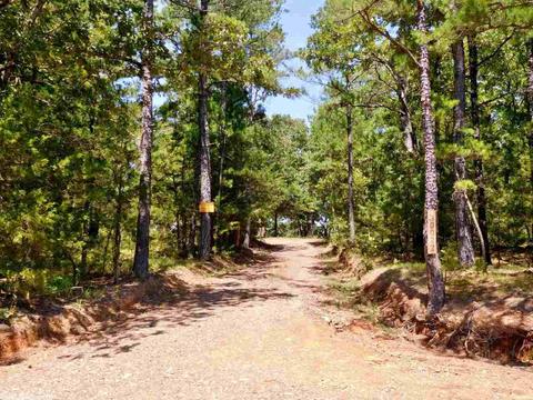 30022 Black Fork Trl, Mena, AR 71953 photo 36