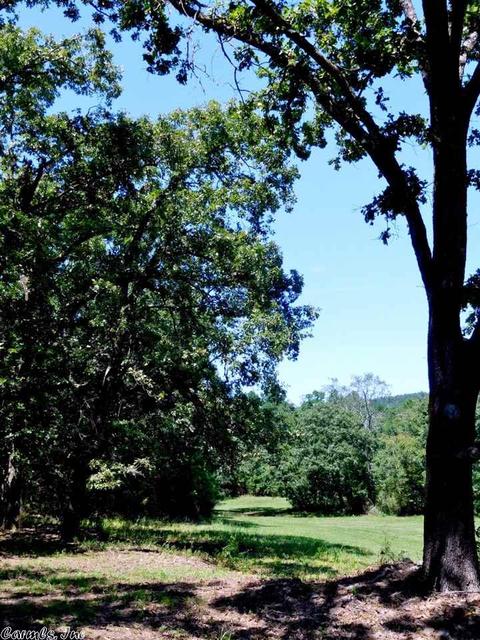 30022 Black Fork Trl, Mena, AR 71953 photo 31