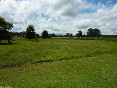 174 Heather Loop, Lonoke, AR 72086 photo 38