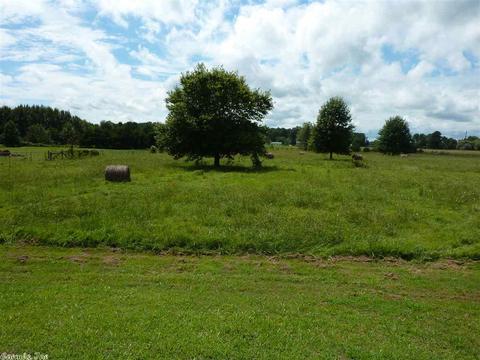174 Heather Loop, Lonoke, AR 72086 photo 37
