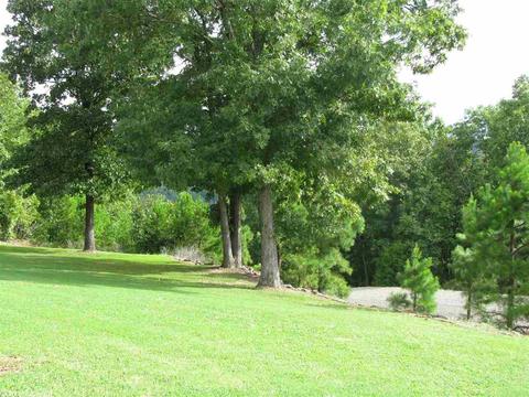 49 Mill Pond Rd, Conway, AR 72034 photo 7