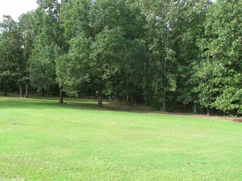 49 Mill Pond Rd, Conway, AR 72034 photo 21