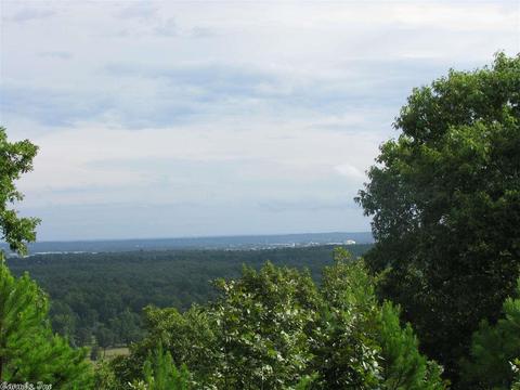 49 Mill Pond Rd, Conway, AR 72034 photo 2